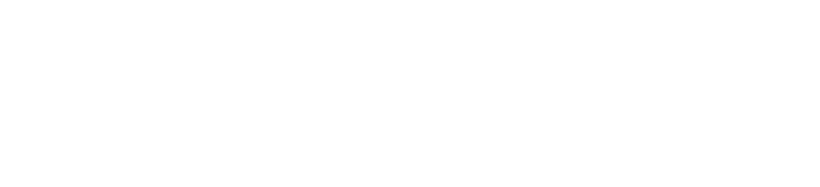 FLiPER